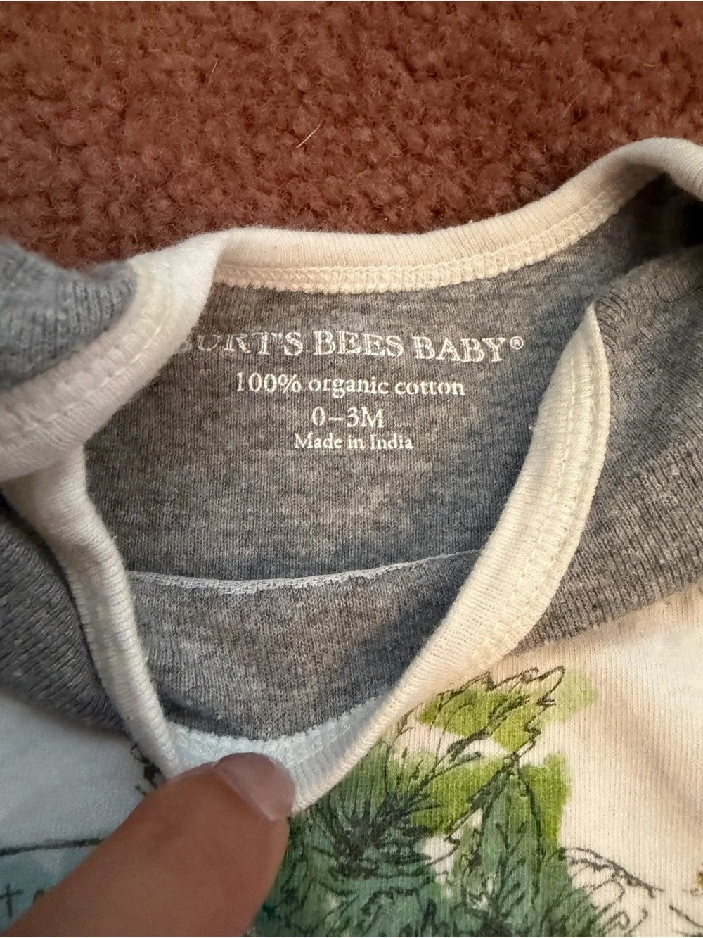 Burt's Bees Baby Gray and Cream Stripe Jogger Set